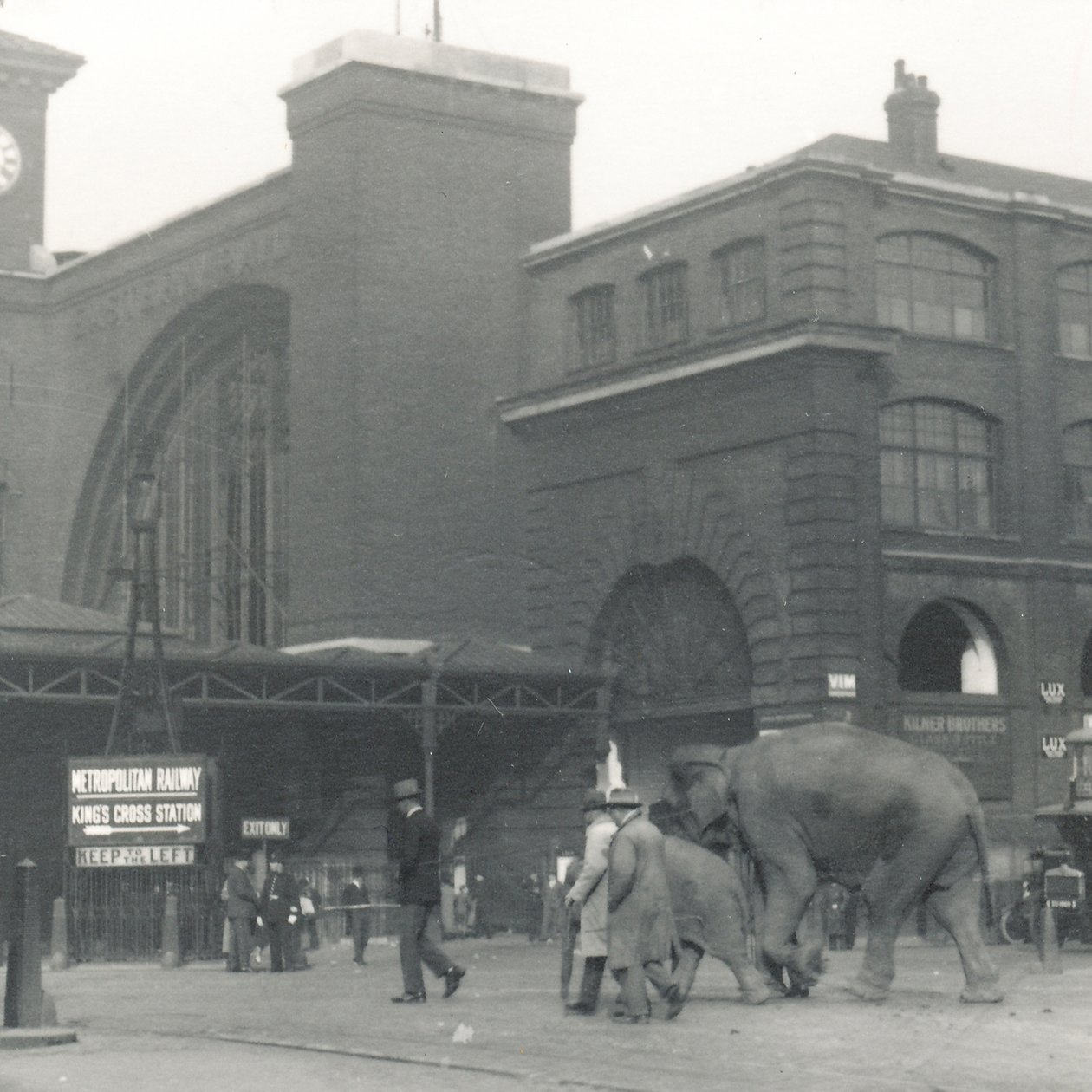 Elefanter som går från hamnen passerar Kings Cross station på väg till ZSL London Zoo, september 1927 av Frederick William Bond