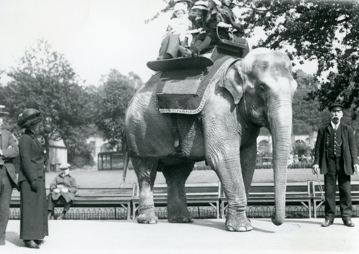 Kvinnlig indisk elefant "Lukhi" ger barn en tur med djurhållaren Charles Eyles, medan besökare tittar på, London Zoo, maj 1914 av Frederick William Bond
