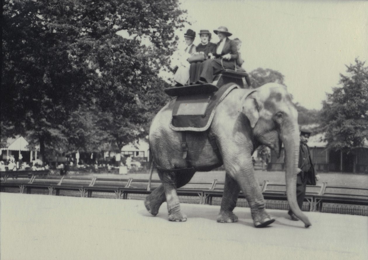 Tre damer får en tur på en asiatisk elefant under ledning av en djurskötare i London Zoo, maj 1914. av Frederick William Bond