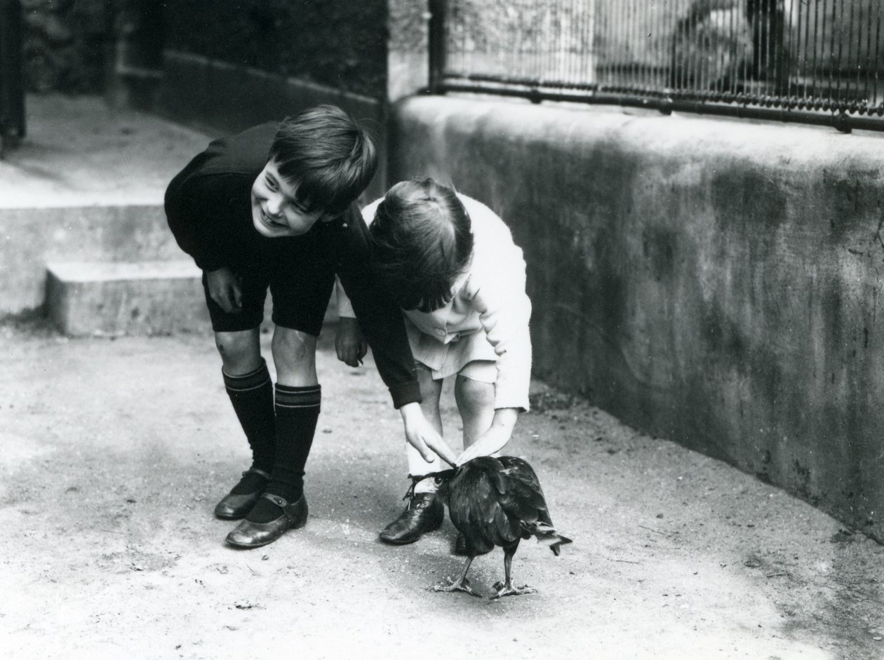 Två unga besökare möter en tam, strierad Caracara på London Zoo, juni 1914 av Frederick William Bond