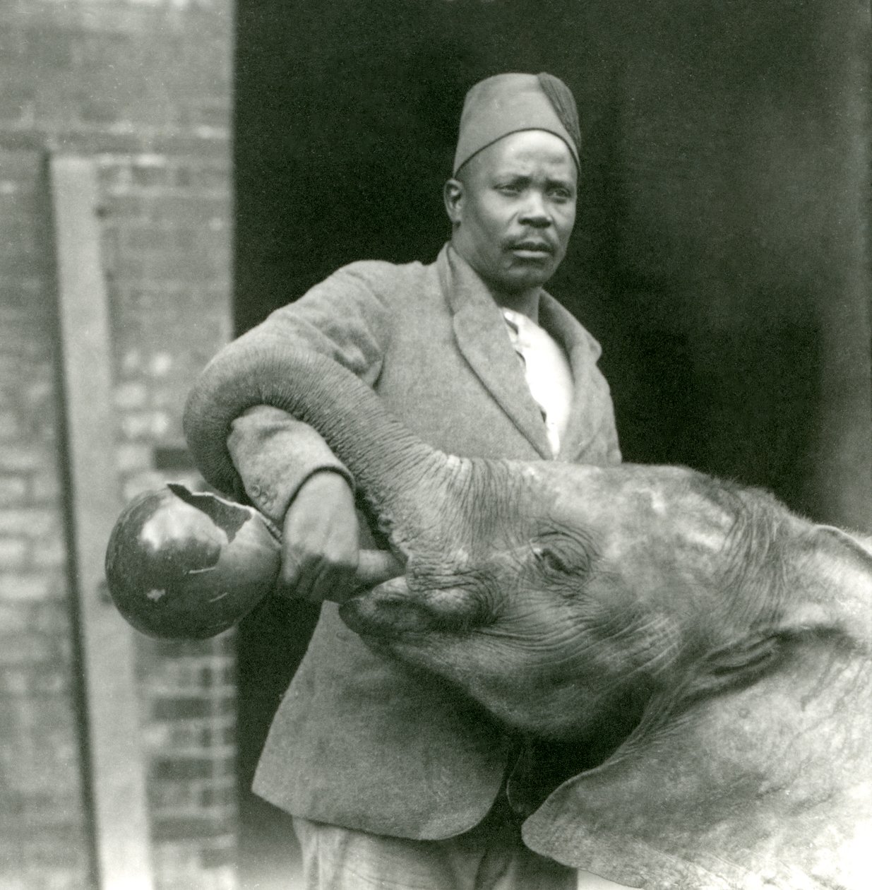 Den unga afrikanska elefanten Kiberenge får en drink av Darisha, London Zoo, september 1923 (bw-foto) av Frederick William Bond