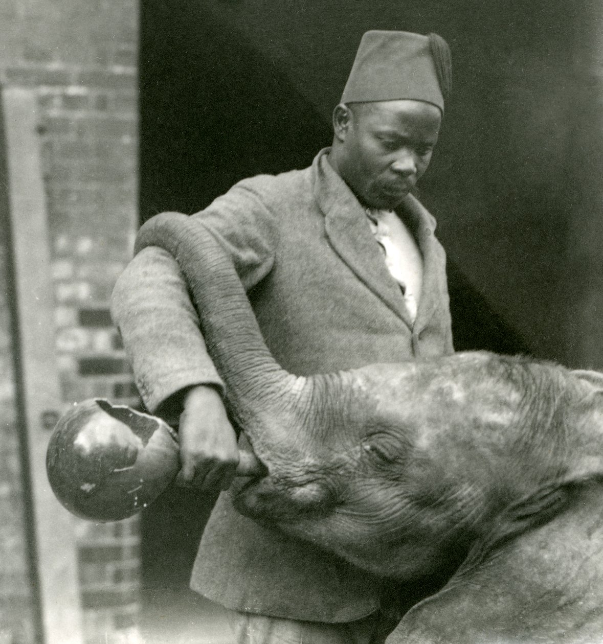 Den unga afrikanska elefanten Kiberenge får en drink av Darisha medan Syed Ali tittar på i bakgrunden, London Zoo, september 1923 (svart fotografi). av Frederick William Bond