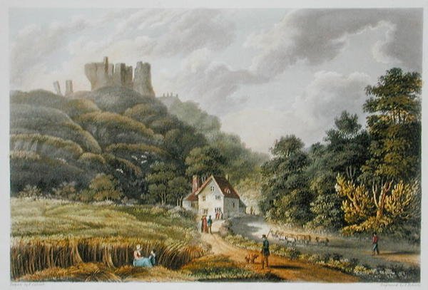 Carisbrook, från 