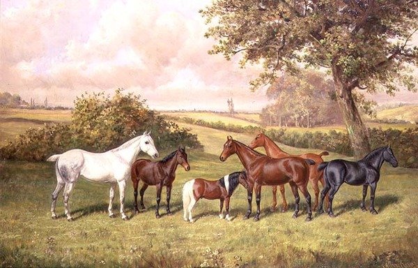 En grupp ponnyer av Frederick Albert Clark