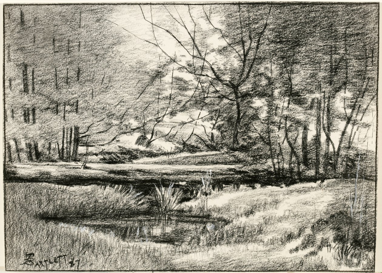 Pool i Adirondacks av Frederick Eugene Bartlett
