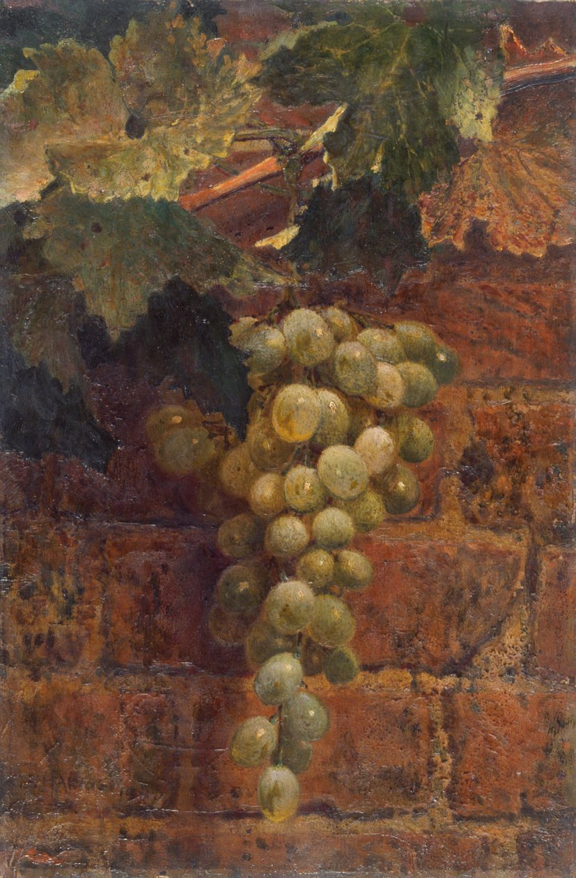 Vindruvor av Frederick George Harris