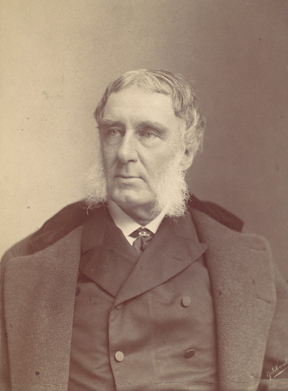 [Man med sidomorrhår], 1870-80-tal. av Frederick Gutekunst
