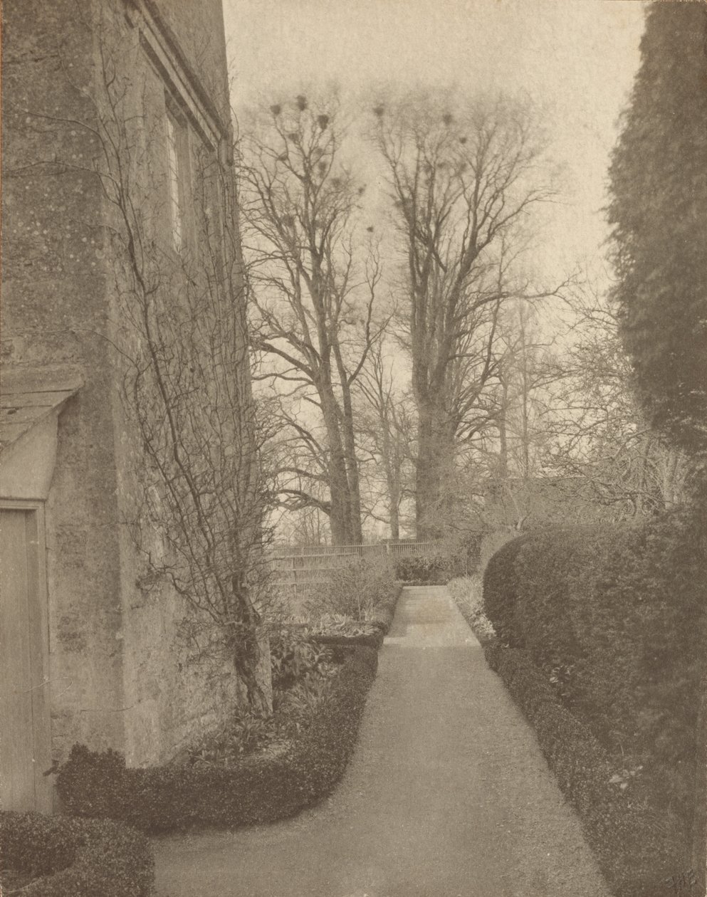 Kelmscott Manor: I trädgården av Frederick H. Evans