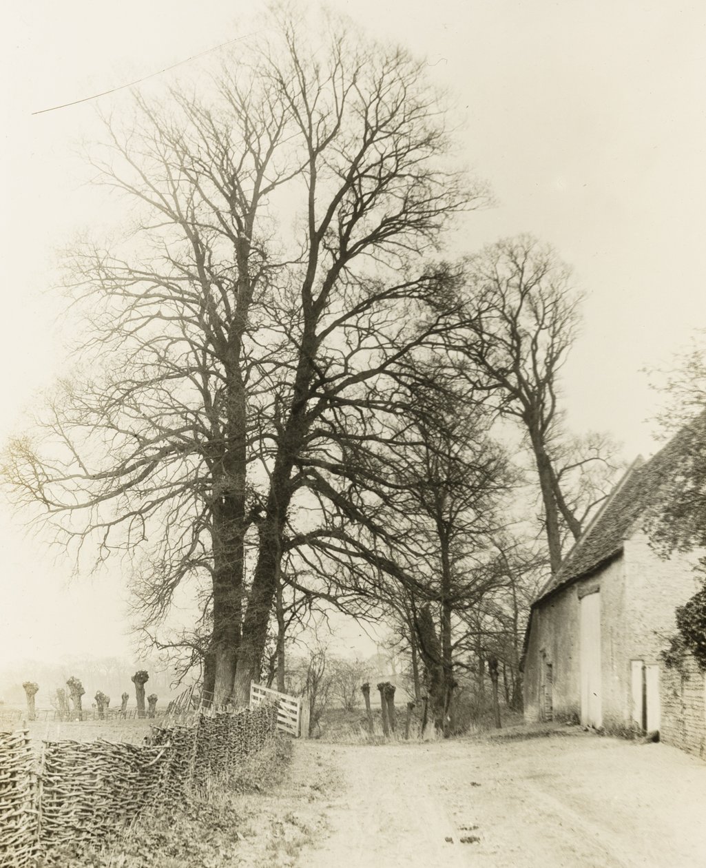 Kelmscott Manor: Väg och ingång av Frederick H. Evans