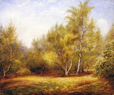 Epping Forest nära Buckhurst Hill (akvarell på papper) av Frederick Henry Evans