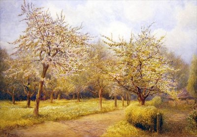 Träd i blom (akvarell på papper) av Frederick Henry Evans