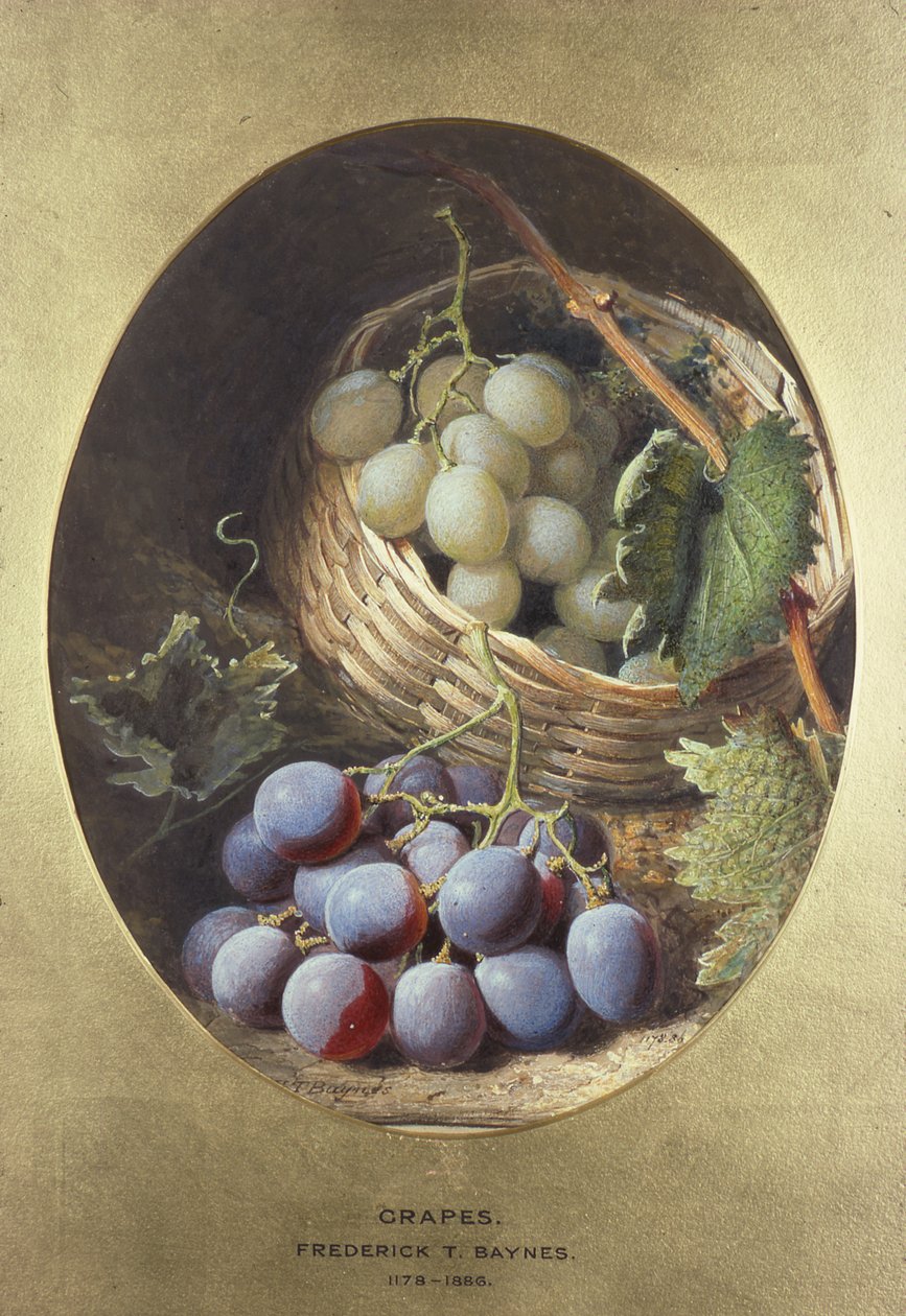 Röda och vita druvor av Frederick Thomas Baynes