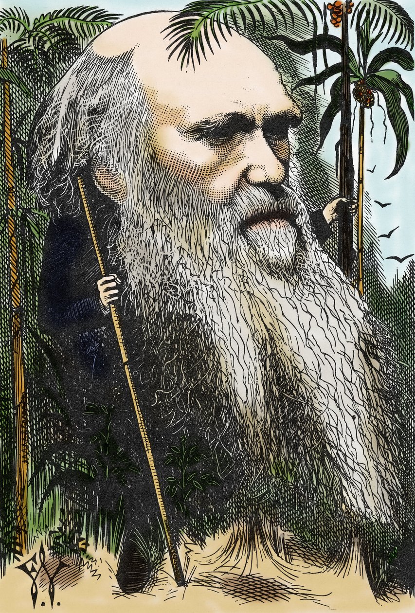 Charles DARWIN (1809-1882) karikatyr av F. Waddy i "" in Once A Week" från 1873. av Frederick Waddy