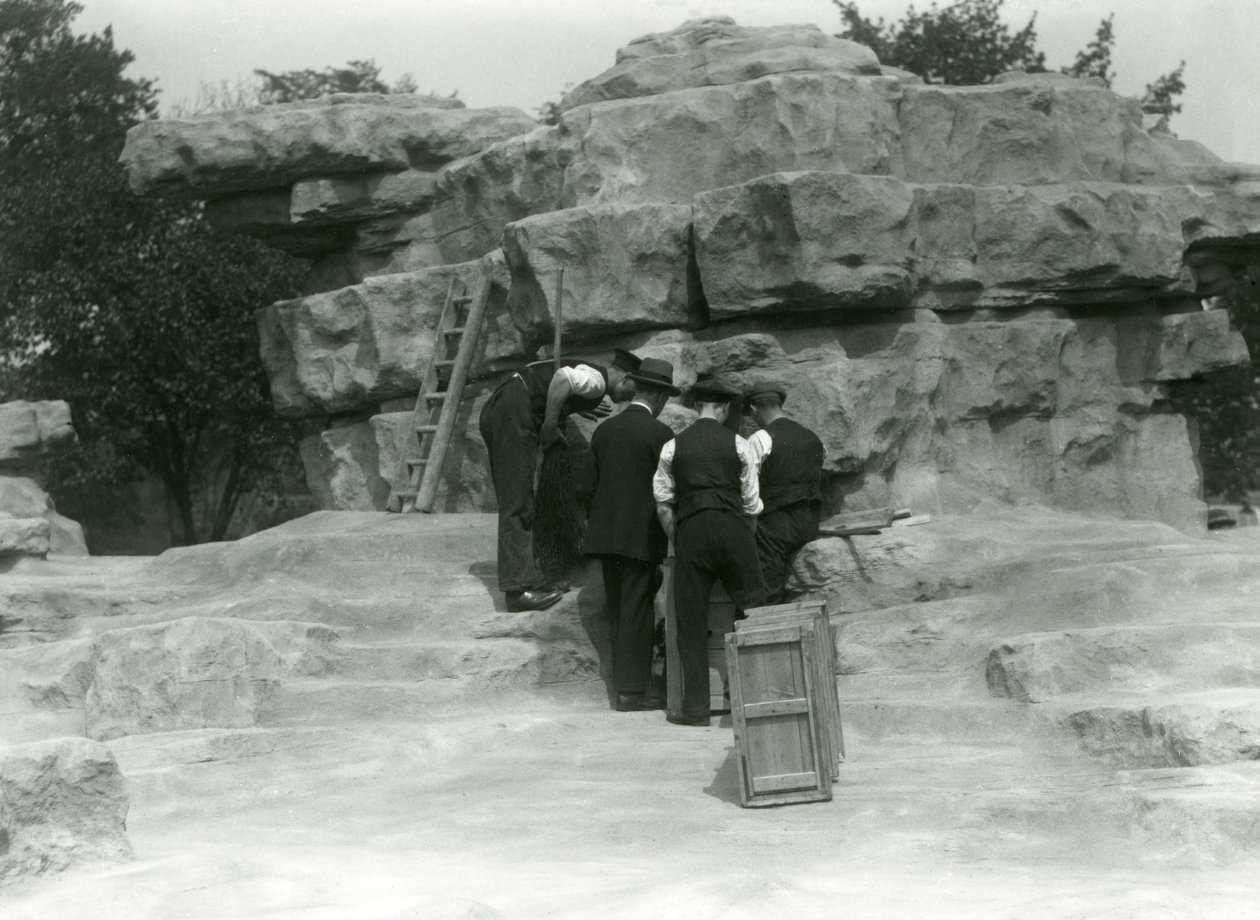 En grupp djurhållare som packar upp heliga babianer bland klipporna på "Monkey Hill", London Zoo av Frederick William Bond