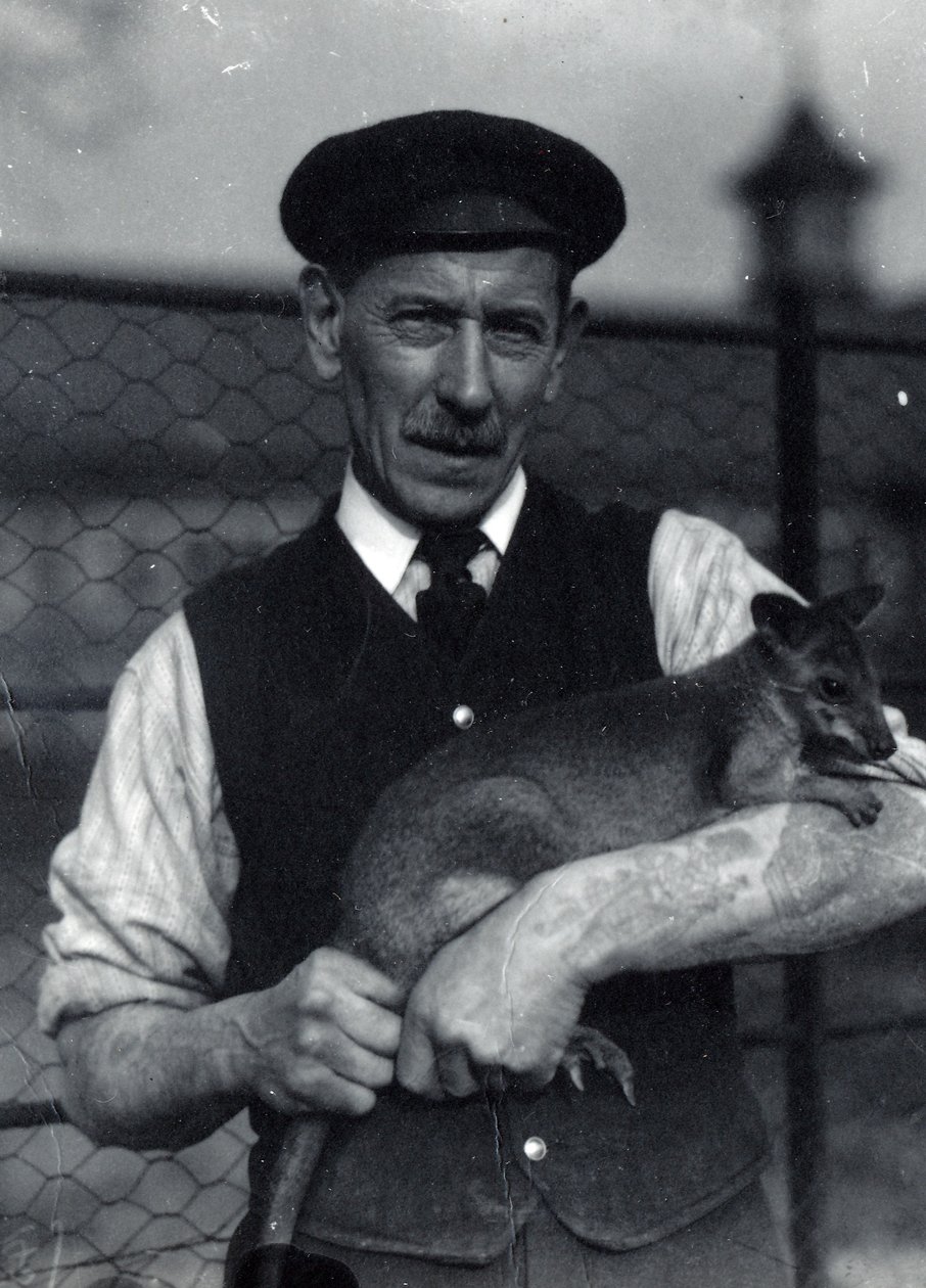 En målvakt håller en wallaby, oktober 1920 (s/v foto) av Frederick William Bond