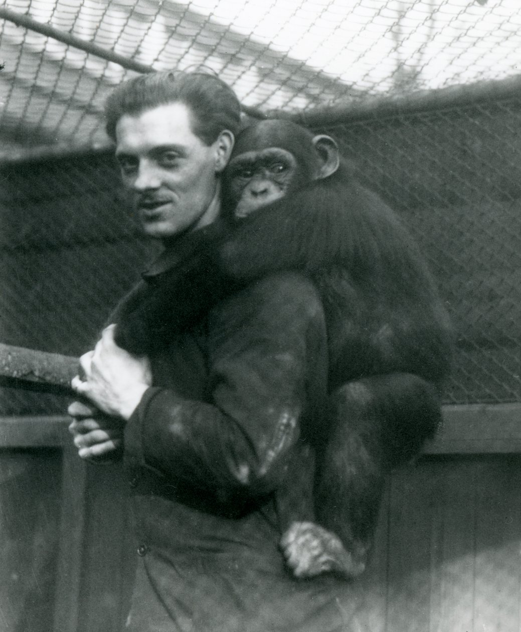 En man bär schimpansen Sally på ryggen, London Zoo, 1924 av Frederick William Bond
