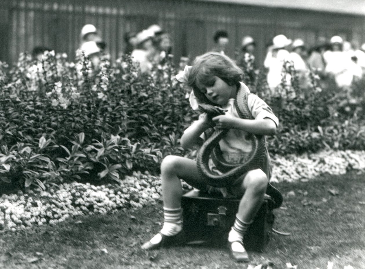 En ung flicka Betty som håller en östlig indigorm när hon sitter på en läderkoffert, London Zoo, 1924 av Frederick William Bond