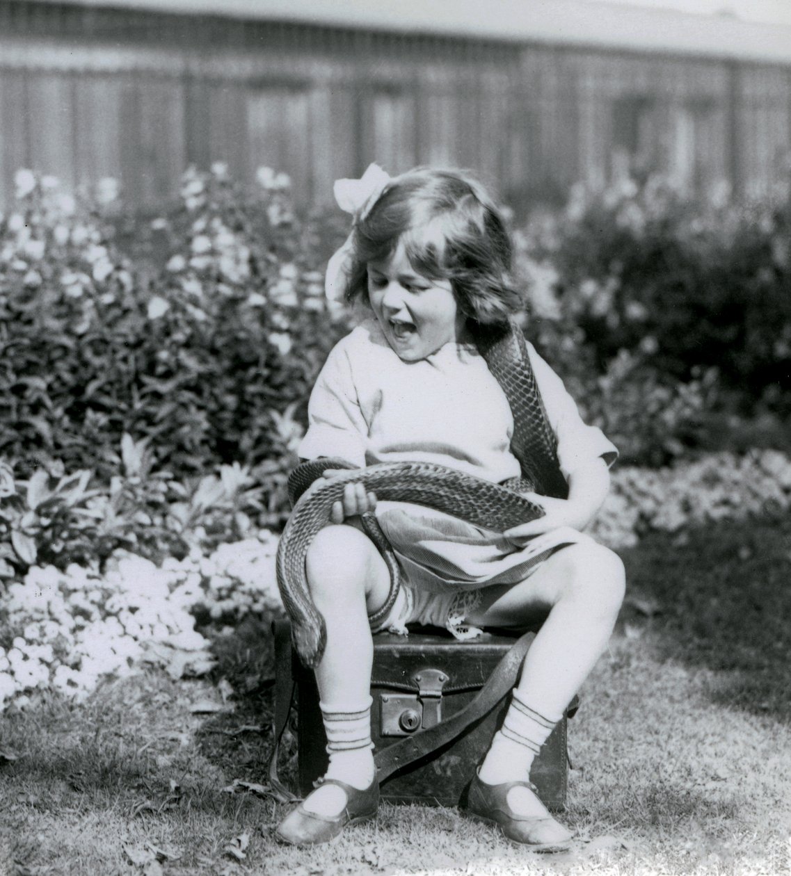 En ung flicka Betty som håller en östlig indigorm när hon sitter på en läderkoffert, London Zoo, 1924 av Frederick William Bond