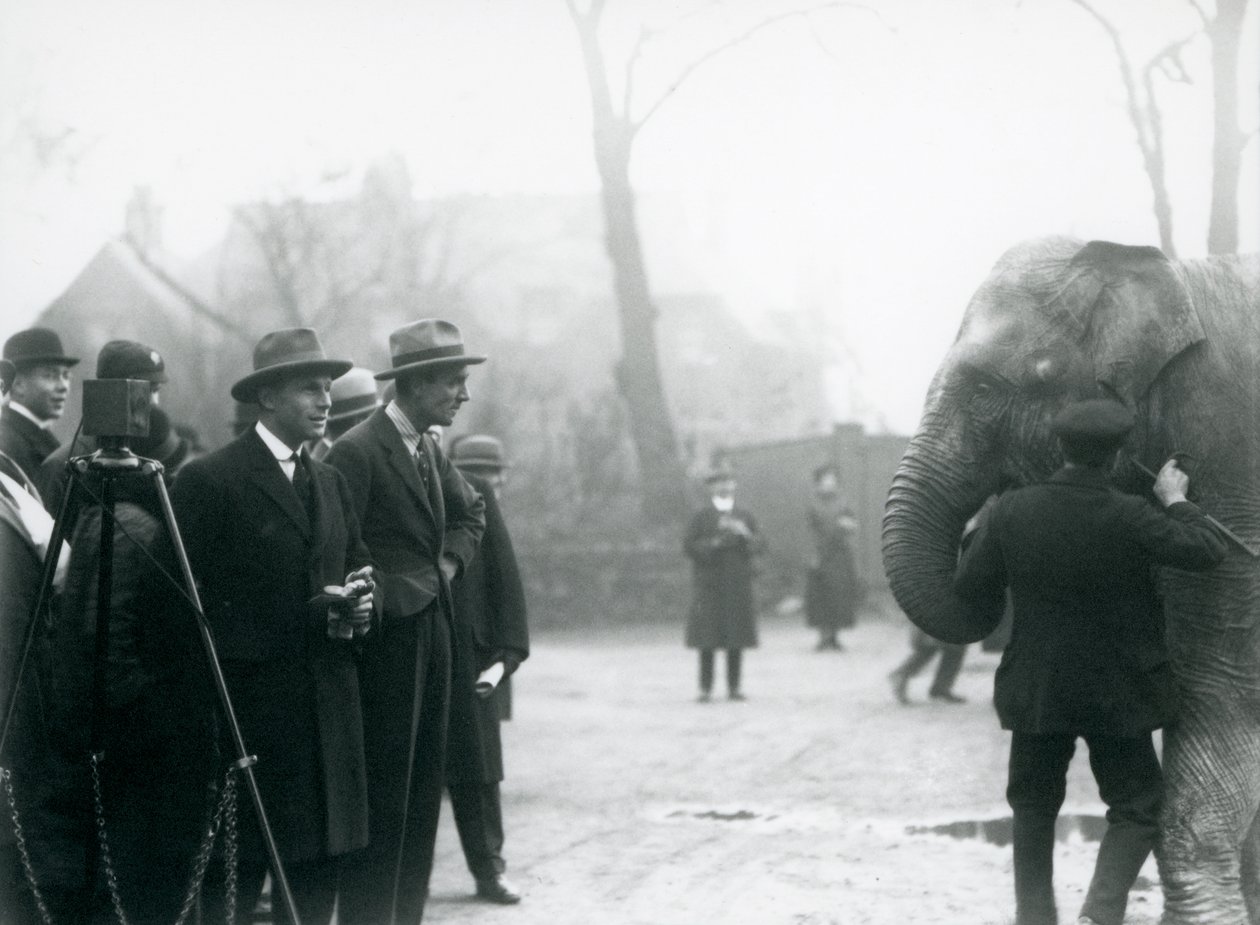 En indisk elefant, möjligen Sundermalah, som deltar i en extern sändning från London Zoo, 1925 av Frederick William Bond