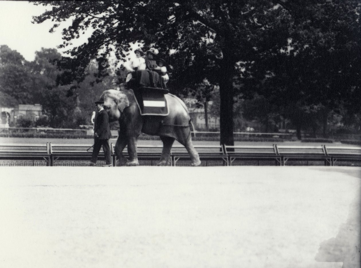Den asiatiska elefanten "Jessie" skjutsar till två damer och ett barn medan den leds av en djurhållare i London Zoo, maj 1914 av Frederick William Bond