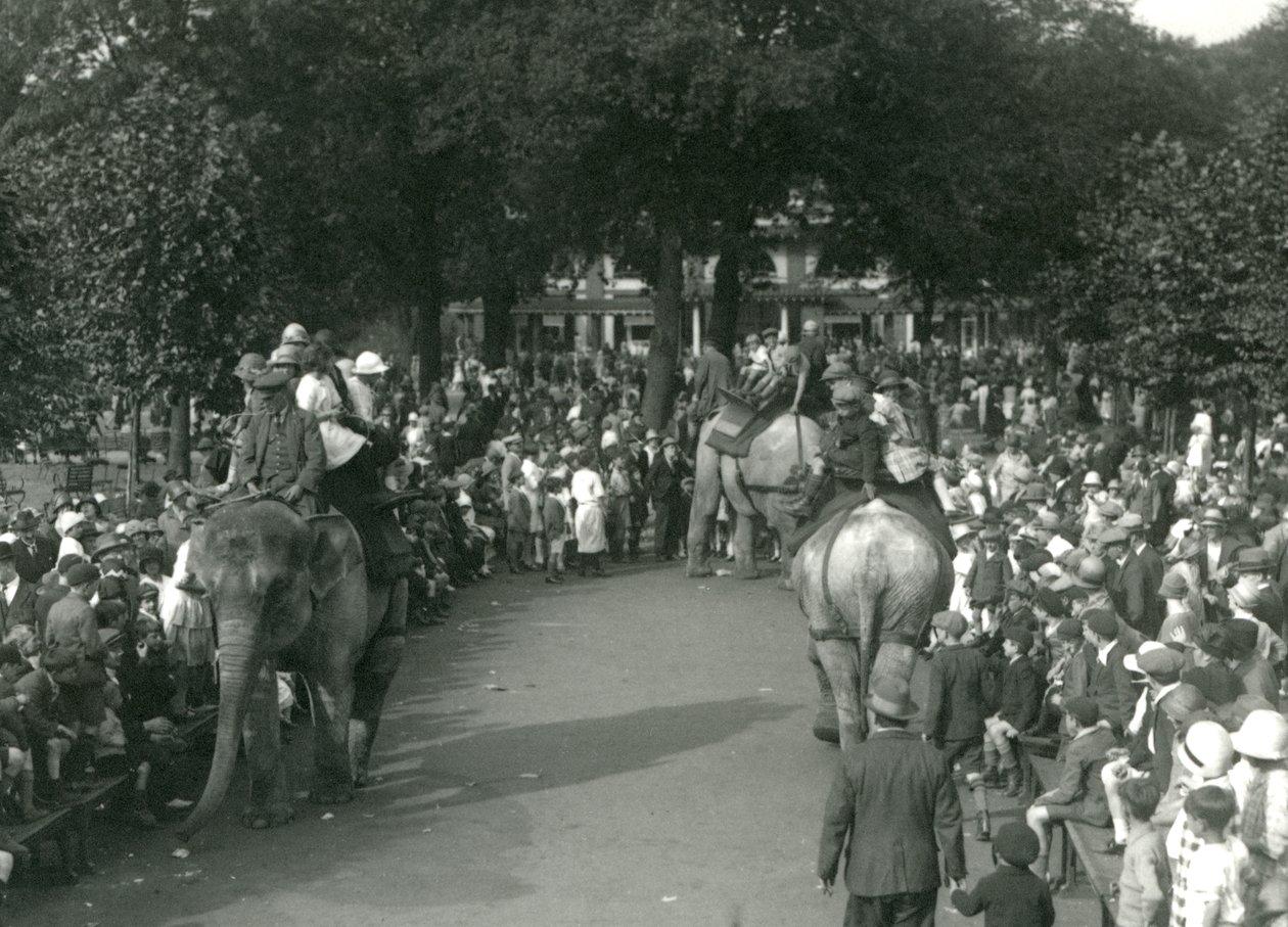 Elephant Rides, med tre asiatiska elefanter som tittade på av massor av åskådare på London Zoo i augusti 1926 (s/v foto) av Frederick William Bond
