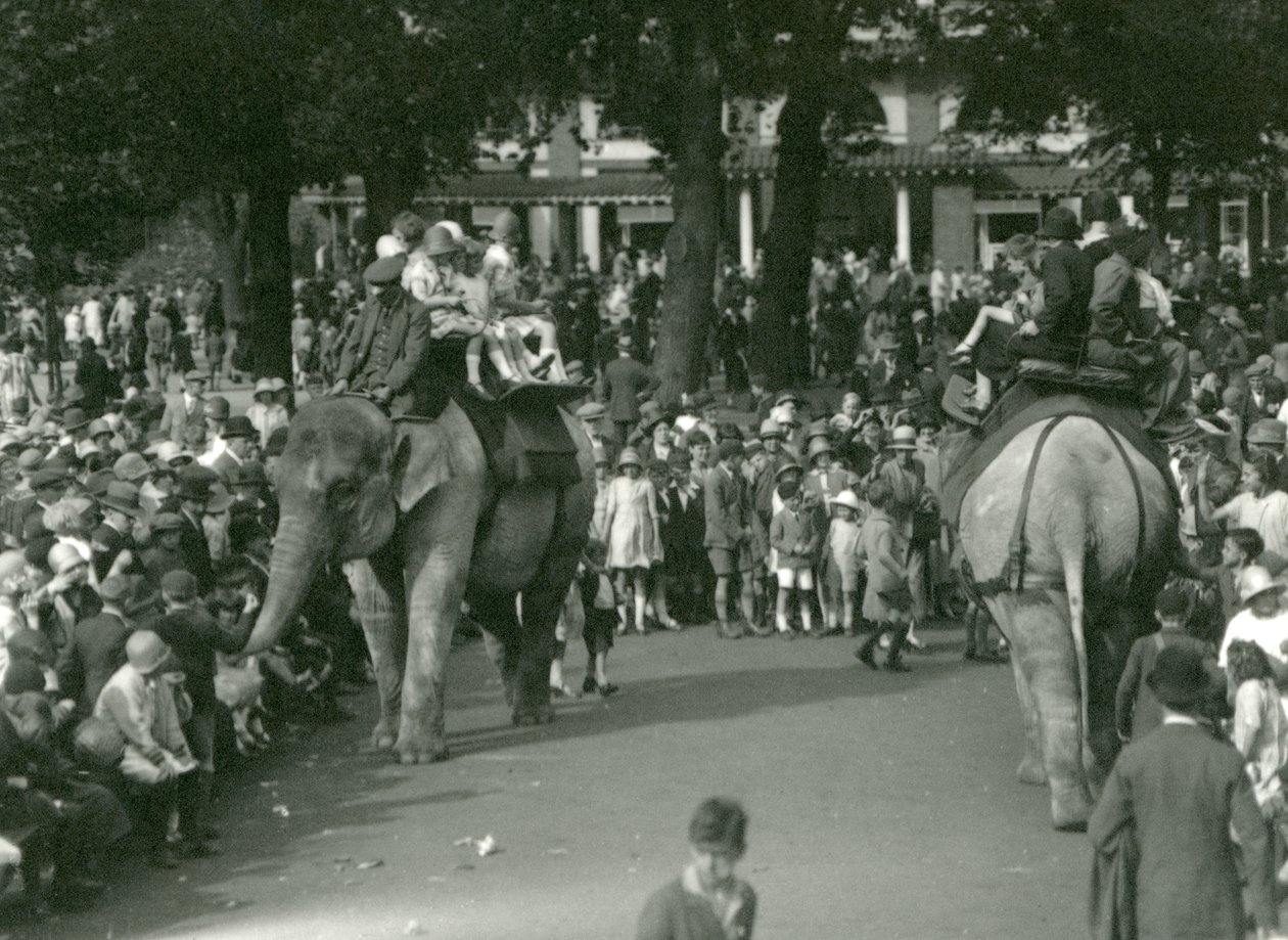 Elephant Rides, med två asiatiska elefanter som tittade på av massor av åskådare på London Zoo i augusti 1926 (s/v foto) av Frederick William Bond