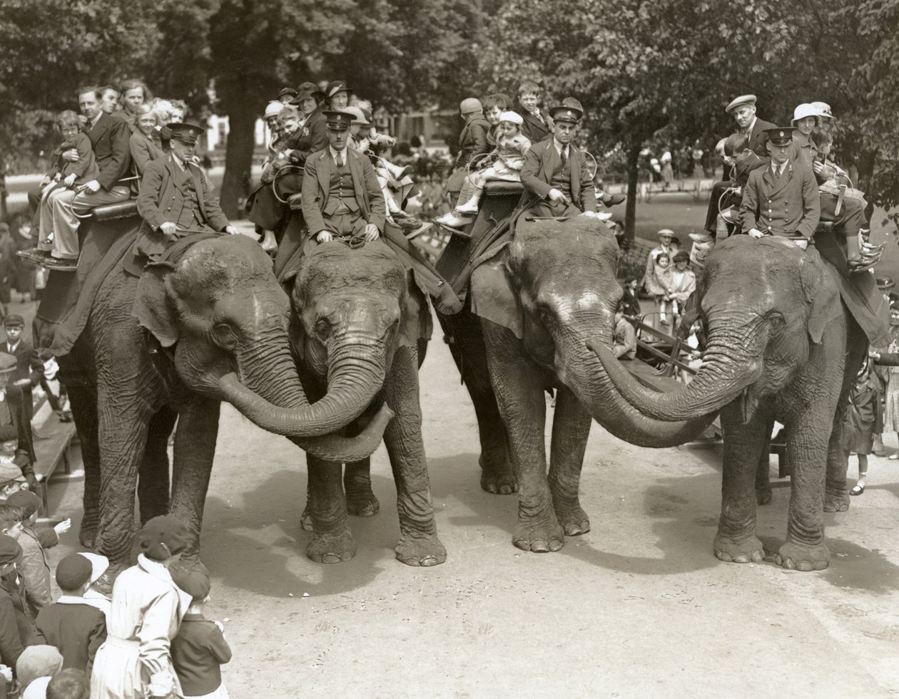 Elefantridning på London Zoo, juli 1936 av Frederick William Bond