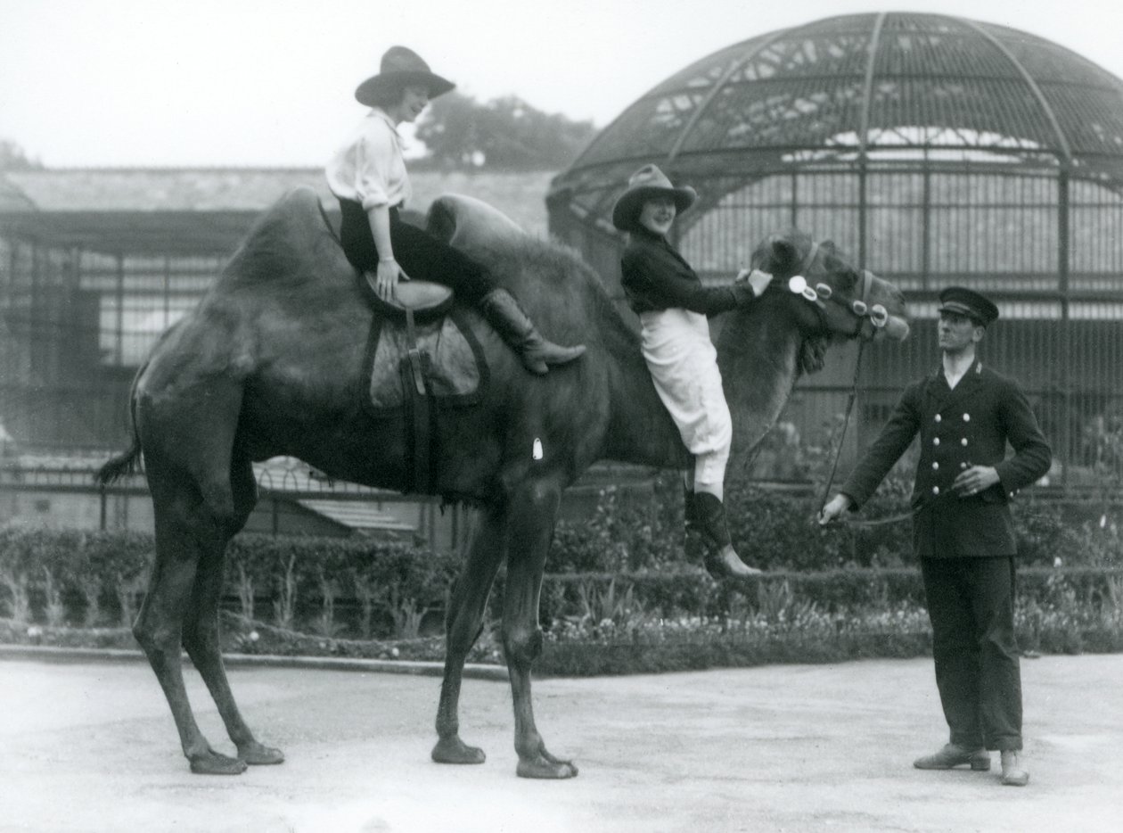 Två Cowgirls poserar på en baktrisk kamel, som hålls av dess djurhållare, under ett besök på London Zoo 1924 av Frederick William Bond