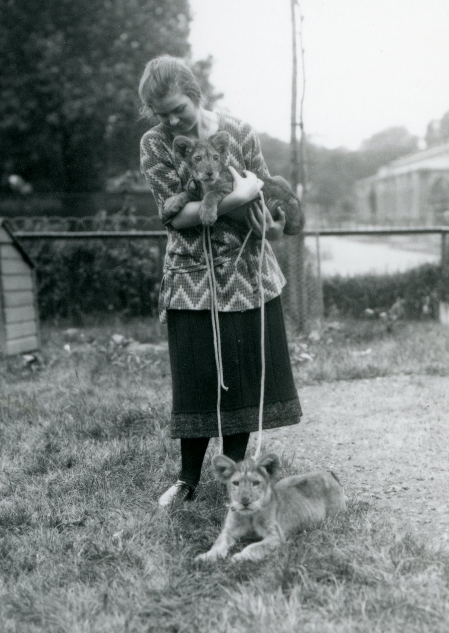 Två lejonungar med en ung kvinna på London Zoo i augusti 1925 av Frederick William Bond