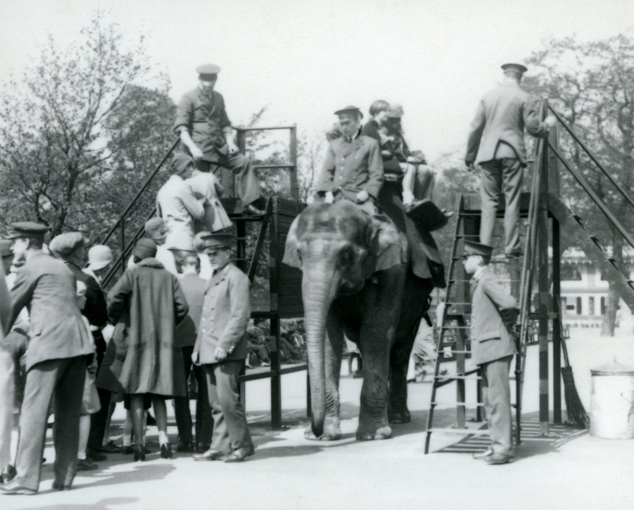Besökare som köar för en elefantritt medan andra går ombord, med hjälp av fem djurhållare, London Zoo, 1927 av Frederick William Bond