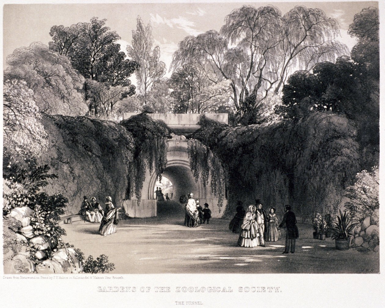 Zoologiska trädgårdar, Regent