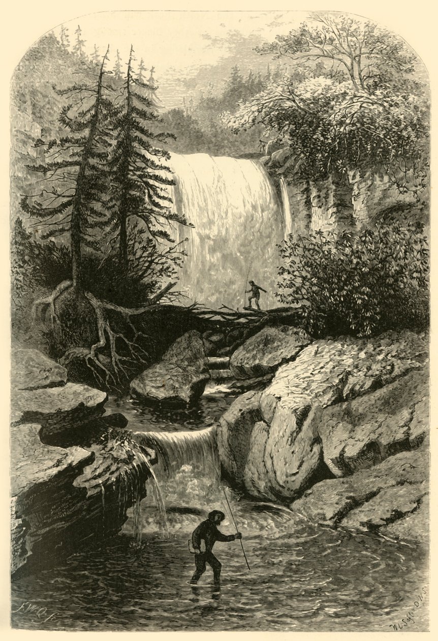 "Falls of the Blackwater", 1872. av Frederick William Quartley