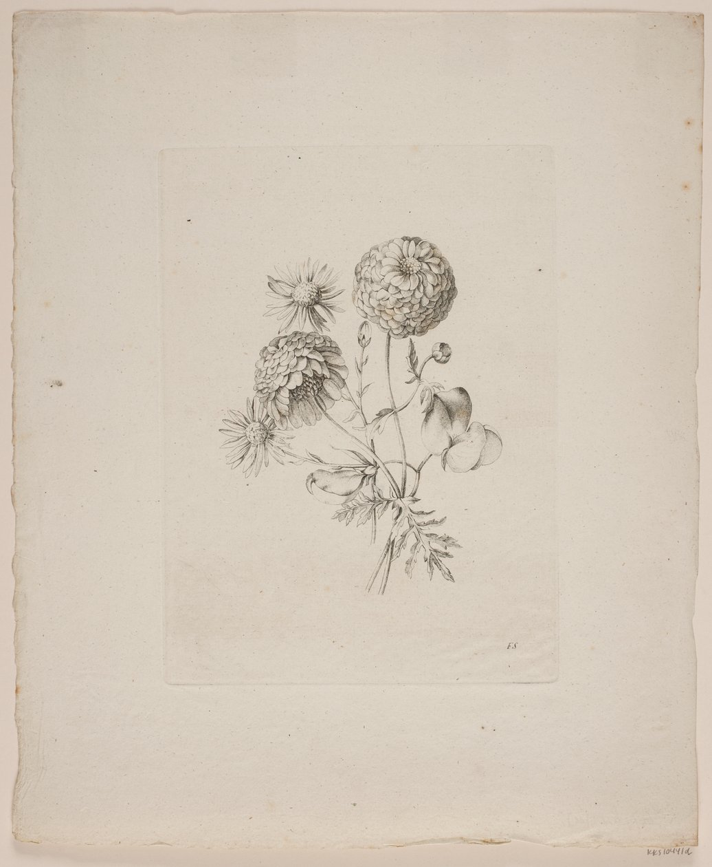 Blommotiv av Frederik Schepelern