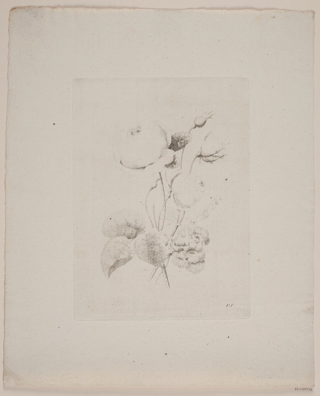 Blommotiv av Frederik Schepelern