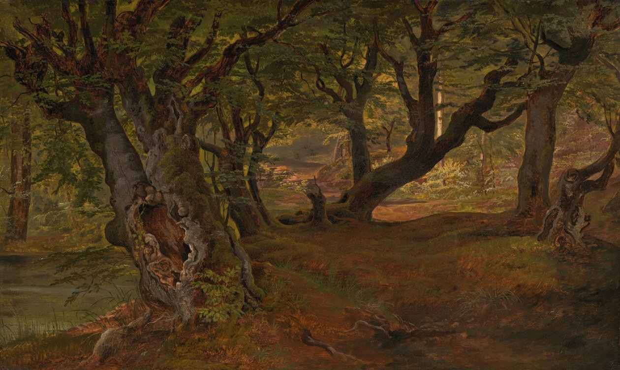 Utsikt över Bregentvedskogen, Sjaelland, mitten av 1830-talet. av Frederik Sødring