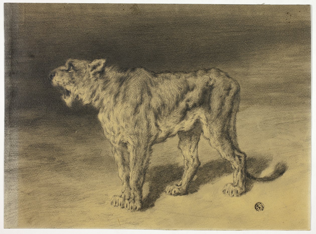 Lejoninnan brusar av Frederik William Zurcher