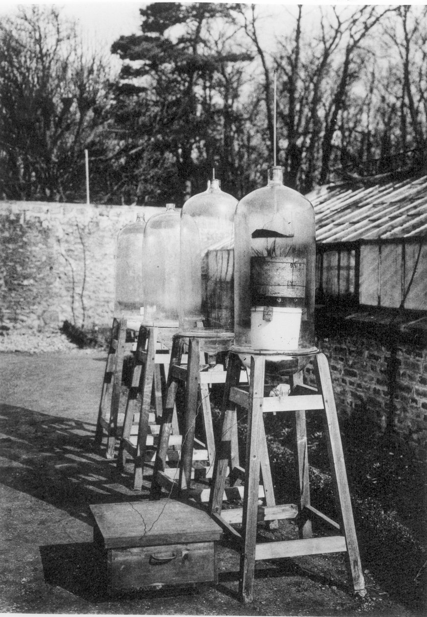 Klockburkar användes för att studera atmosfäriskt kväve under påverkan av elektricitet vid stationen Marcellin Berthelot, Meudon, från en bok om 400 år av College de France, publicerad 1930 (bw ph) av French Photographer