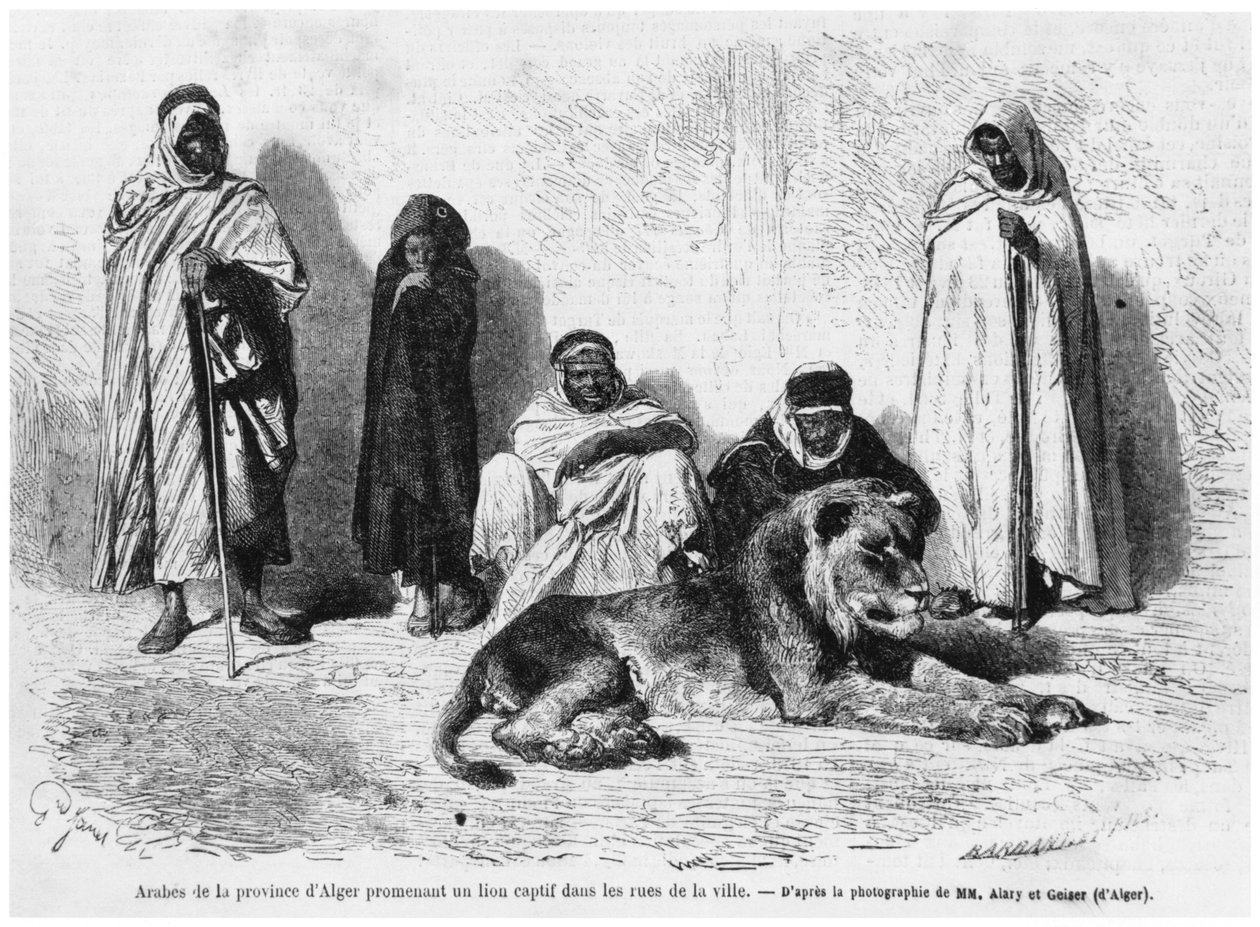 En grupp arabiska män från provinsen Alger går omkring med ett tillfångat lejon på gatorna i staden, från Le Monde Illustre, januari 1864 av French Photographer