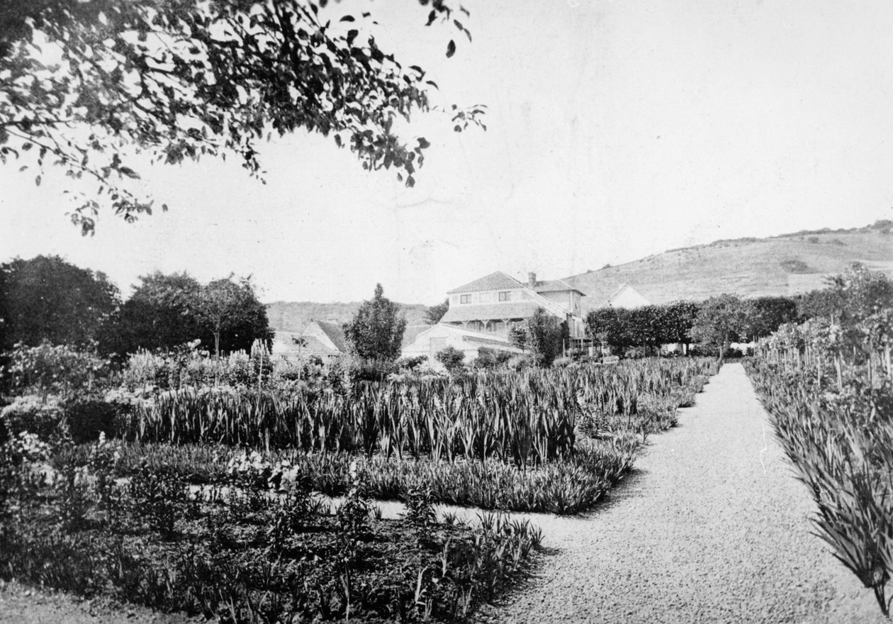 Monets trädgård, Giverny, ca 1908 av French Photographer