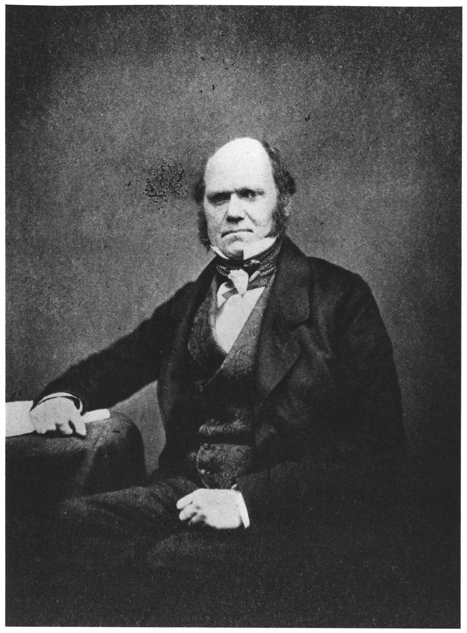 Porträtt av Charles Darwin (1809-82) av French Photographer