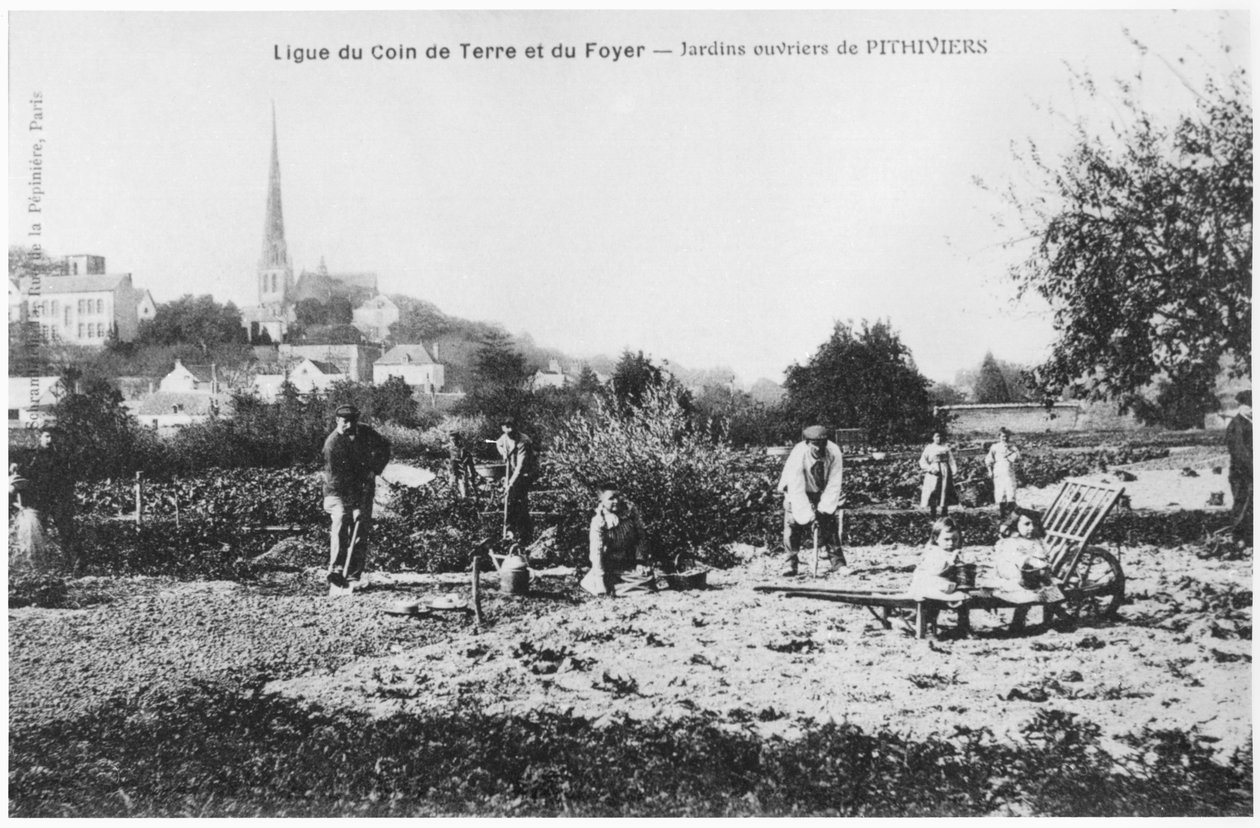Vykort som föreställer köksträdgårdar för arbetare i Pithiviers, före 1914 av French Photographer