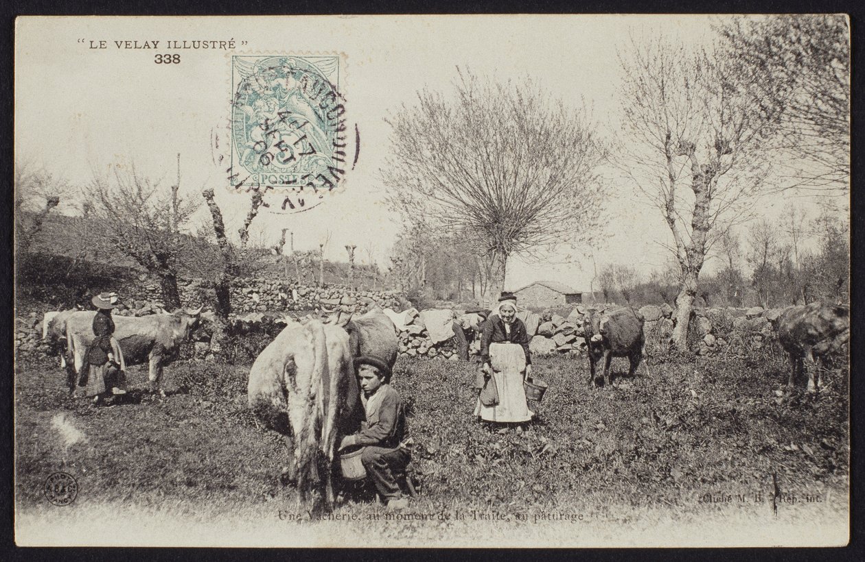 Vykort som visar mjölkningstiden i Velay, ca 1900 av French Photographer