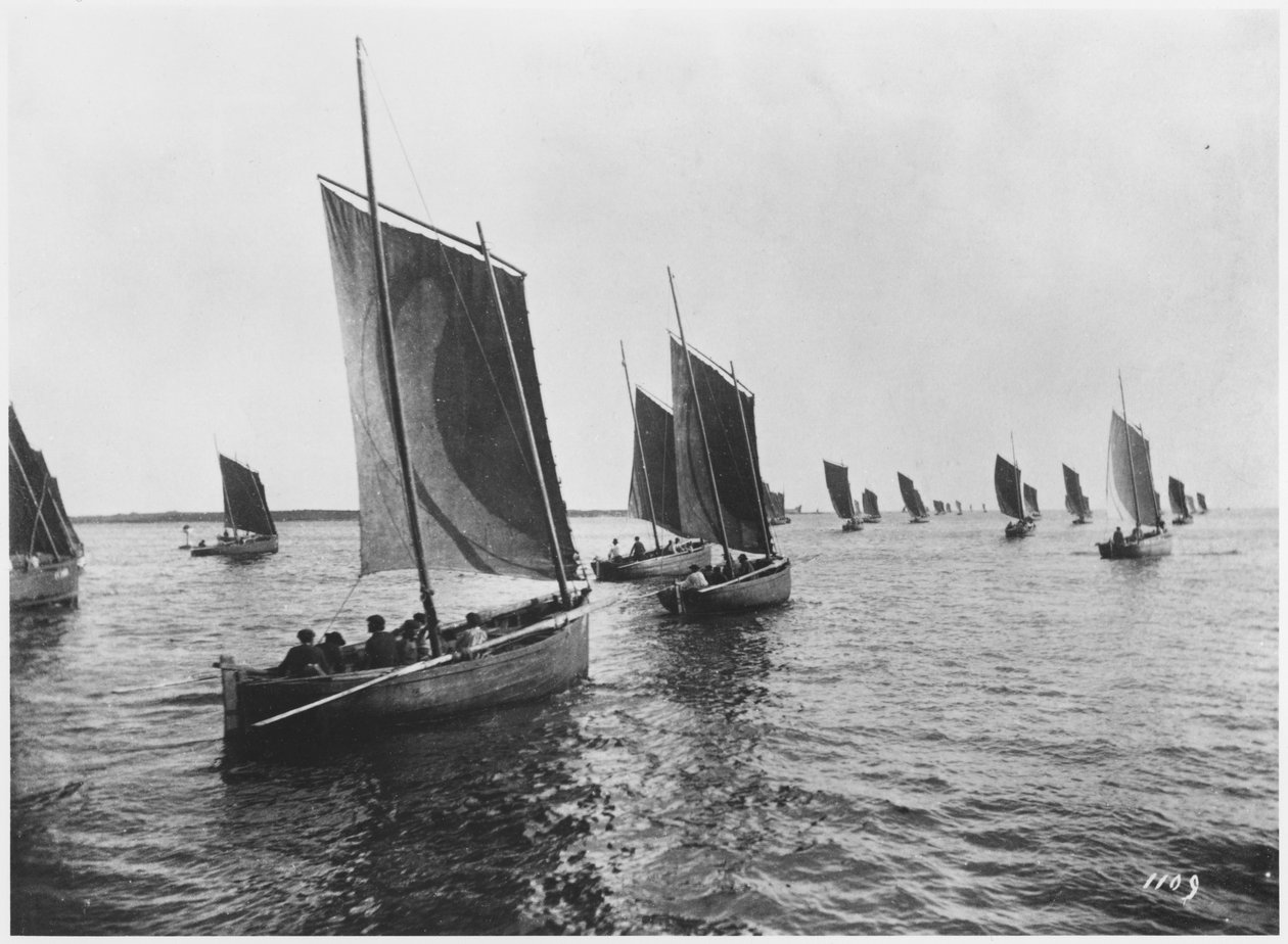 Sardinbåtar från Concarneau av French Photographer