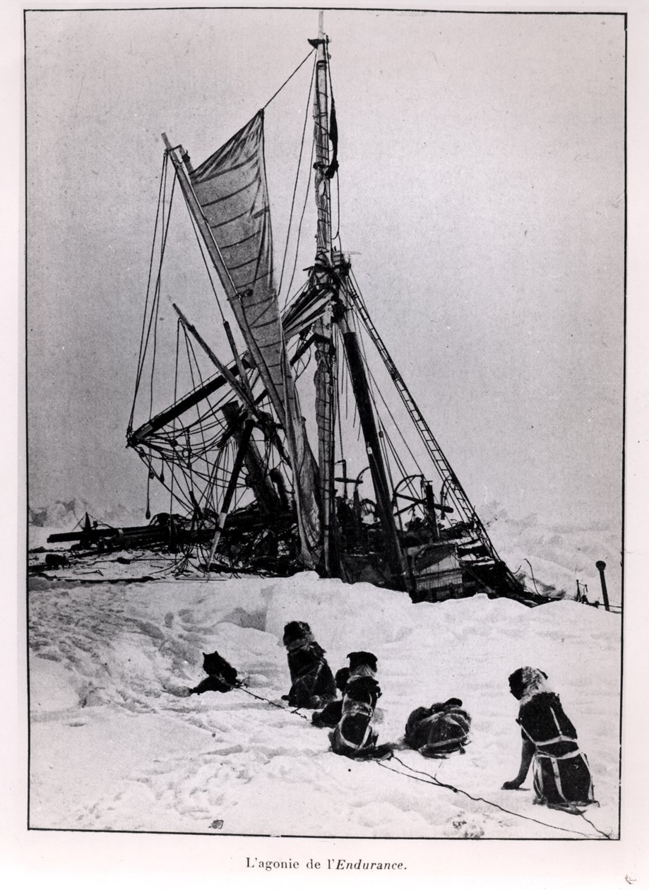 The Agony of The Endurance, från expedition till sydpolen av Ernest Shackleton (1874-1922) 1914-1917 av French Photographer