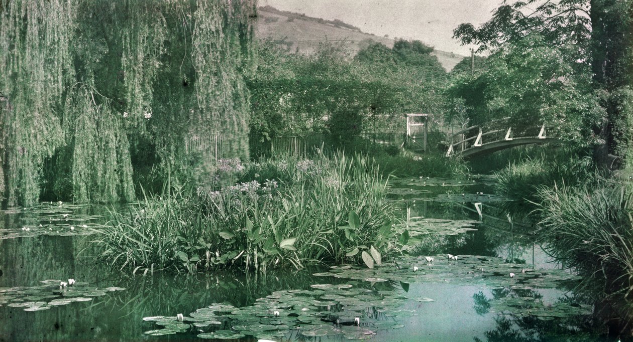 Waterlily Pond och Japanese Bridge i Monets trädgård i Giverny, tidigt 1920-tal (foto) av French Photographer