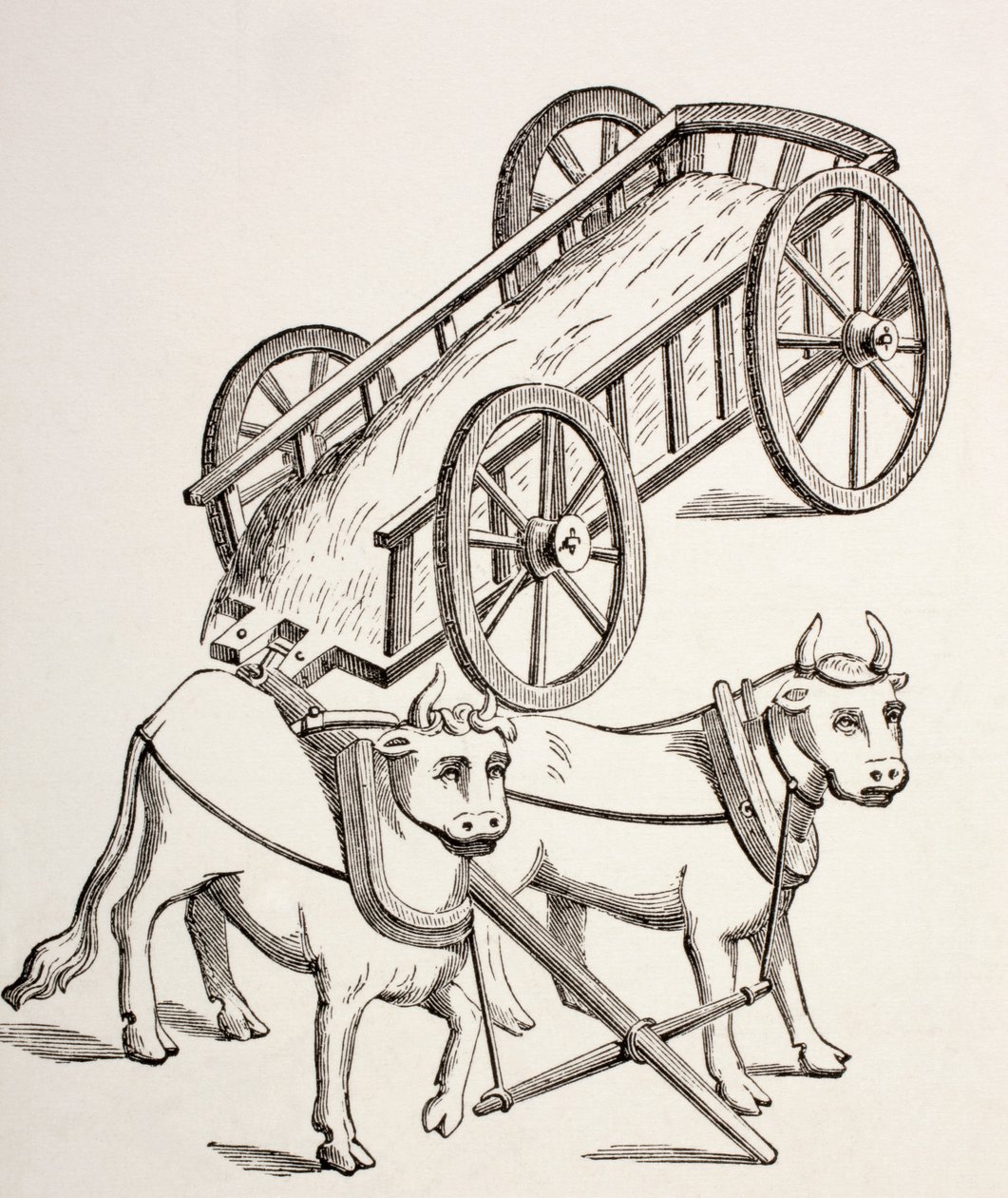 1400-talsvagn ritad av oxar, från 