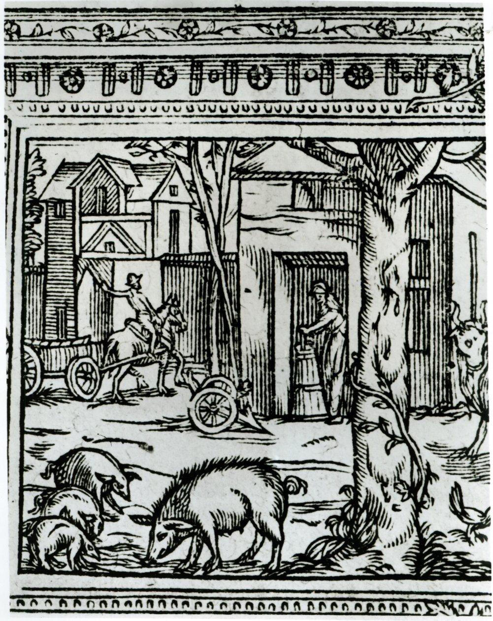 En gård, illustration från 