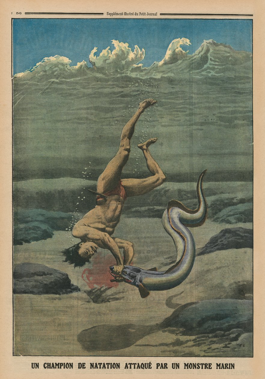 En simmästare attackerad av ett sjömonster, illustration på baksidan från "Le Petit Journal", bilaga illustre, 16 februari 1913 av French School