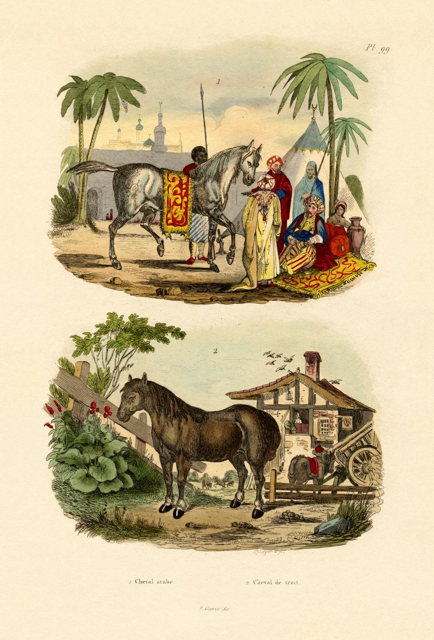 Arabhäst, 1833-39 av French School