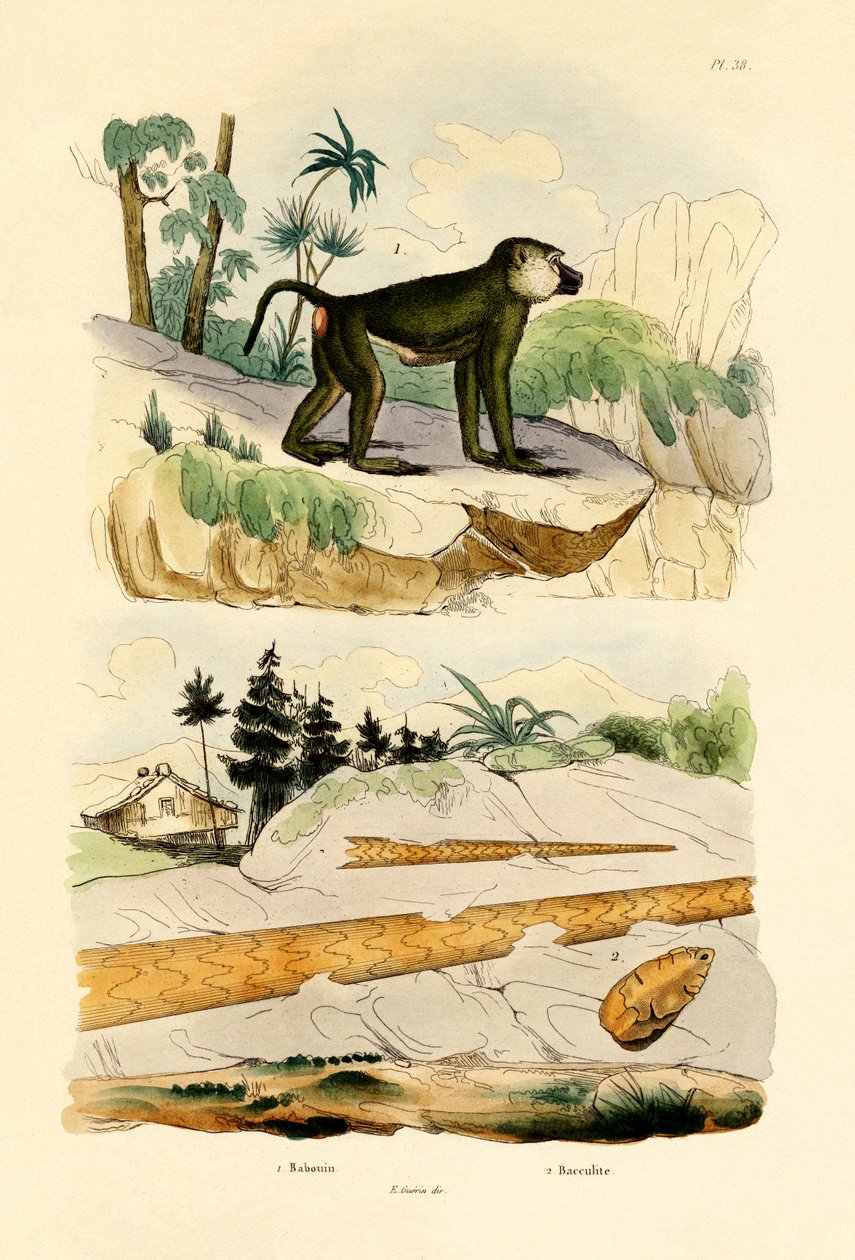 Babian, 1833-39 av French School